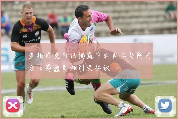 多梅内克日记揭露亨利自恋与阿内尔卡愚蠢真相引发热议