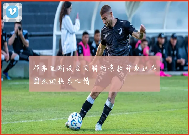 邓弗里斯谈合同解约条款并表达在国米的快乐心情